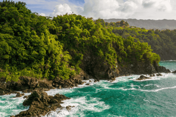 5 Hidden Gems in Oceania Islands Travel Guide: Discover Paradise Untouched 5 Hidden Gems in Oceania Islands Travel Guide: Discover Paradise Untouched
