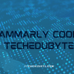 Grammarly Cookies Techedubyte: Working or Fake?
