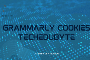 Grammarly Cookies Techedubyte: Working or Fake?